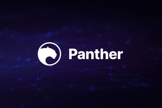 Panther Protocol despliega su infraestructura de privacidad en Polygon